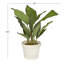 Plante artificielle 18,25 po en pot