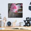 «Zen Bowl» par PhotoINC Studio-1715230252