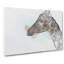Giraffe Profile In Abstract - Wrapped Canvas-55312195