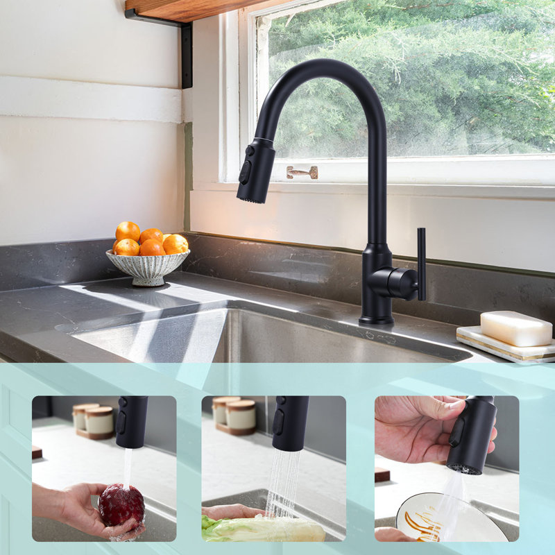 Matte Black 3-Function Kitchen Faucet Spray Head with 9 Adapters
