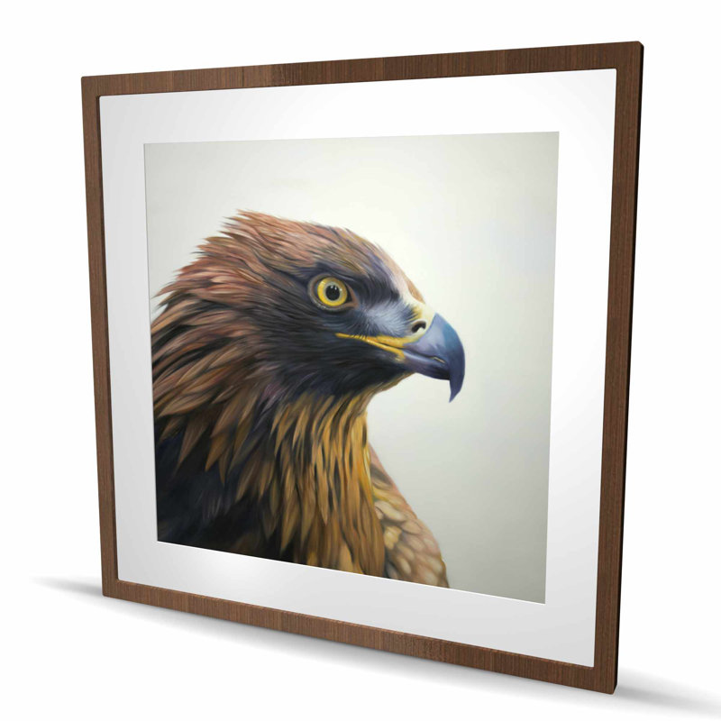 Aigle à tête brune - Best-sellers de l'Ouest, reproduction encadrée