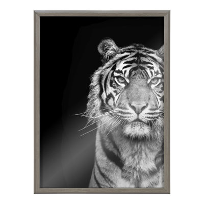 Blake Tiger Minimalist Animal Framed Printed Glass by The Creative Bunch Studio 18x24 Grey