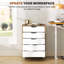 Danby 47cm Wide 5 -Drawer File Cabinet
