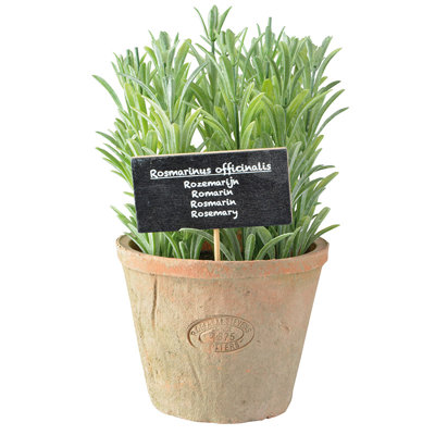 Cachepot