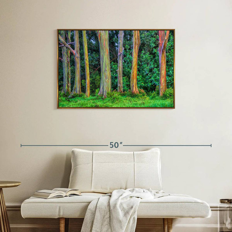Eucalyptus arc-en-ciel, Cadre flottant doré, 37 po x 25 po