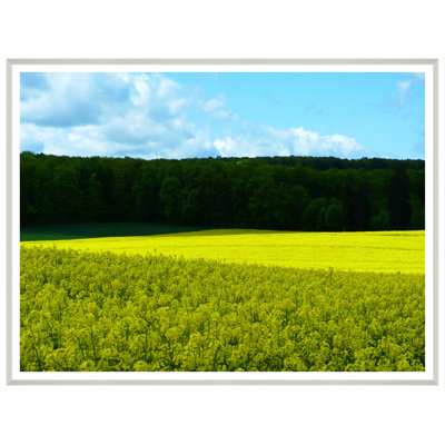«Landscape Field», reproduction de photo encadrée