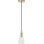 Selina Small Accent Pendant