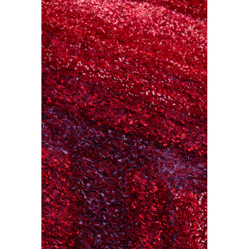 Anyshia 160cm X 230cm Area Rug