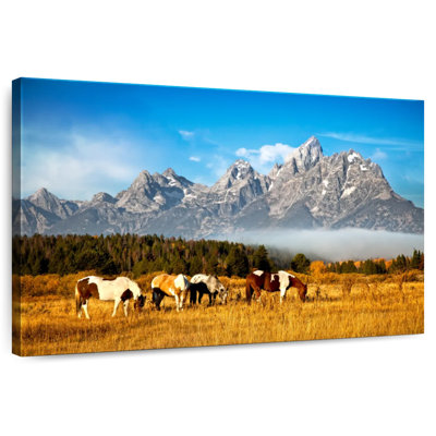 Chevaux Brampt Jackson Hole Valley