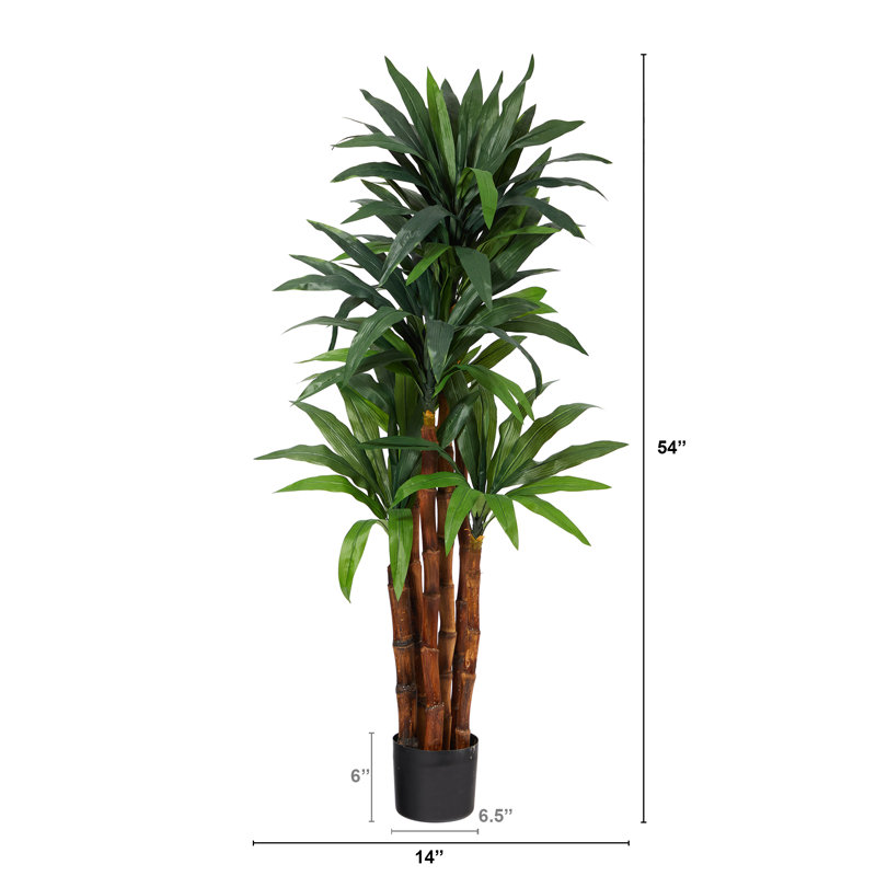 Faux Dracaena Tree in Pot, 54" H x 14" W x 14" D