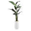 Faux Traveler Palm Tree in Planter