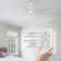 Liandro 60'' Ceiling Fan with Light