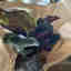 Customer photo 2 of 6