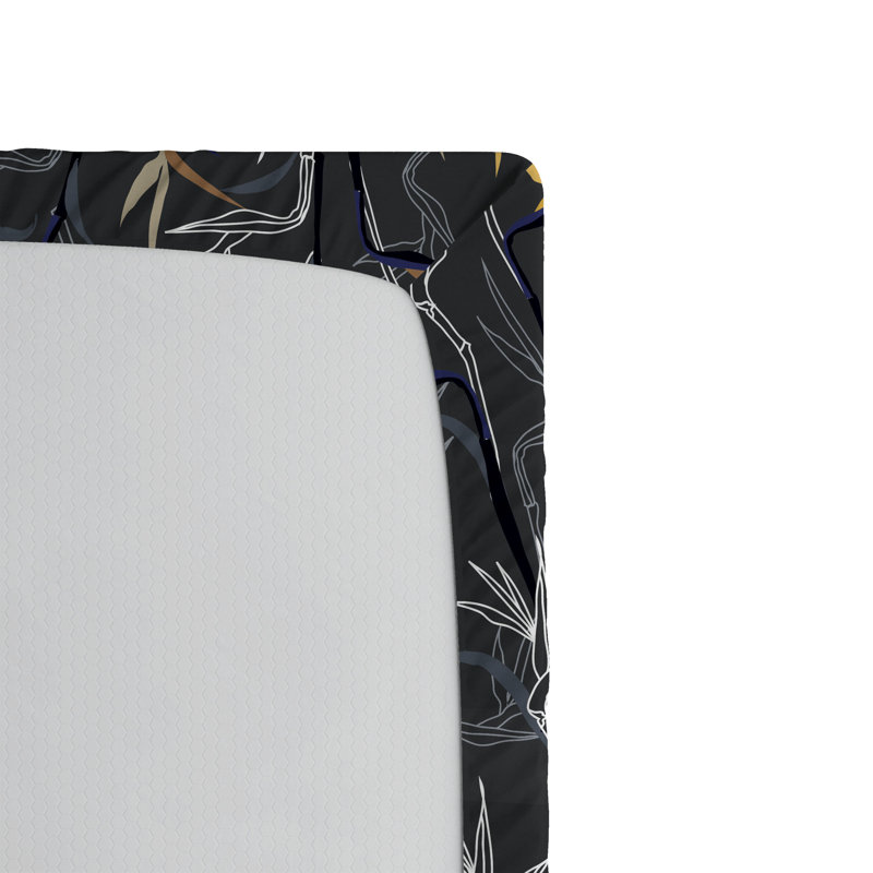 Drap-housse Ambesonne
