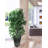 Planter Box-50844507-50844506