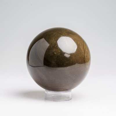Cloche Or Water Globe