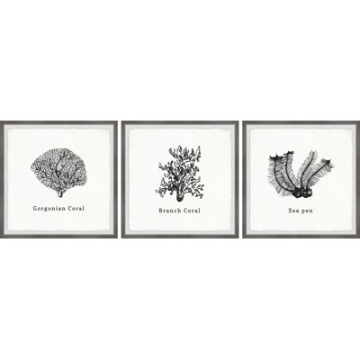 Warminster Sea Pen 3 Piece Wall Art