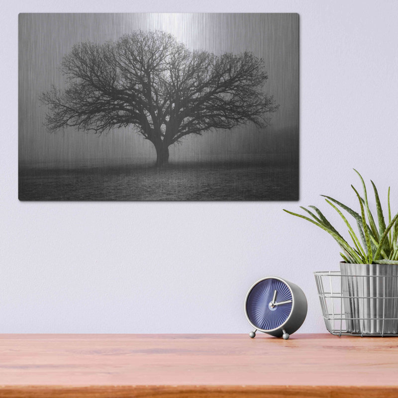 «Evening Mist» par Debra Van Swearingen, H 12 po x l 16 po