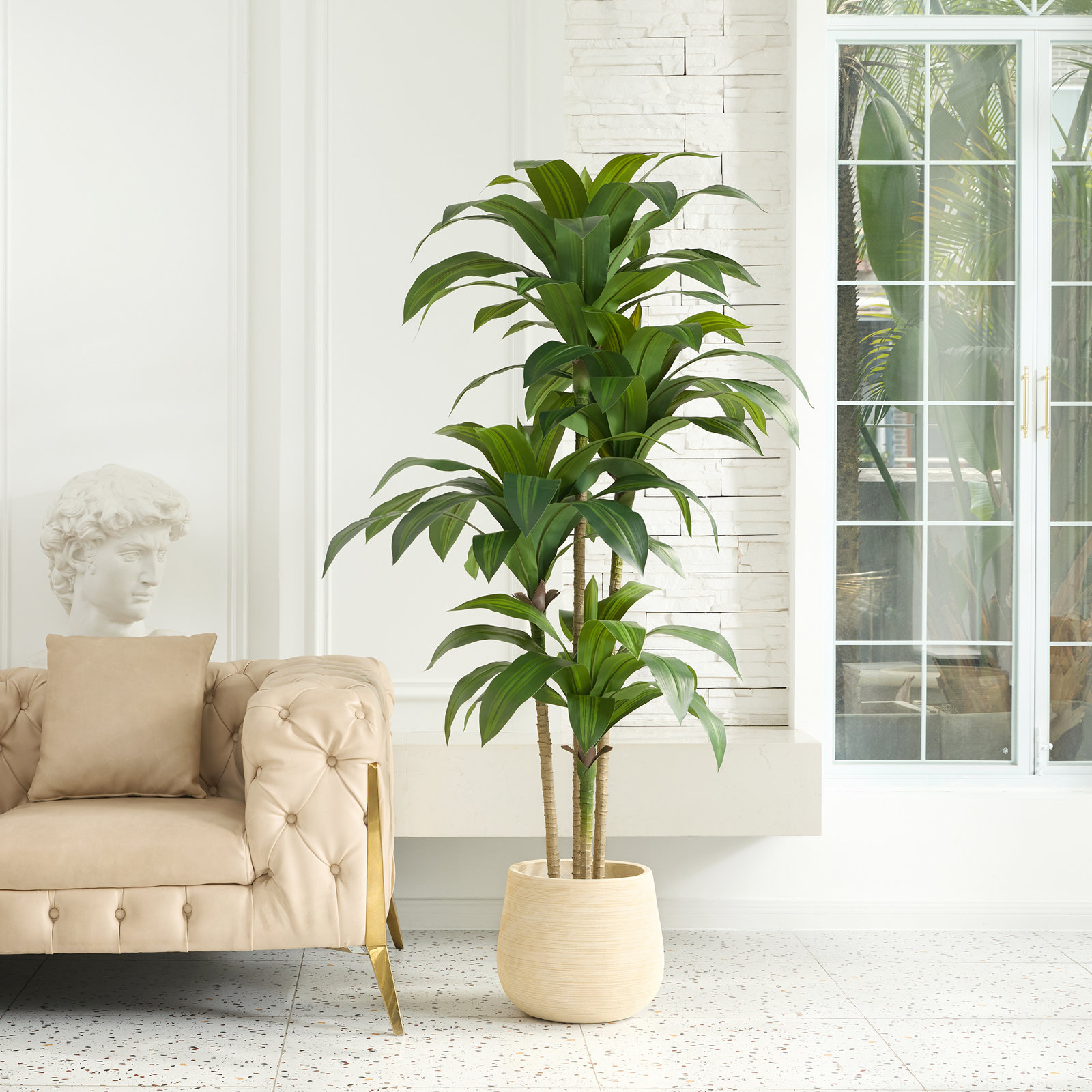 Adcock Dracaena Tree in Pot, Green, 72" H x 24" W x 24" D