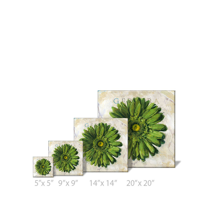 Art sur toile Verde Gerbera, l 20 po x L 20 po
