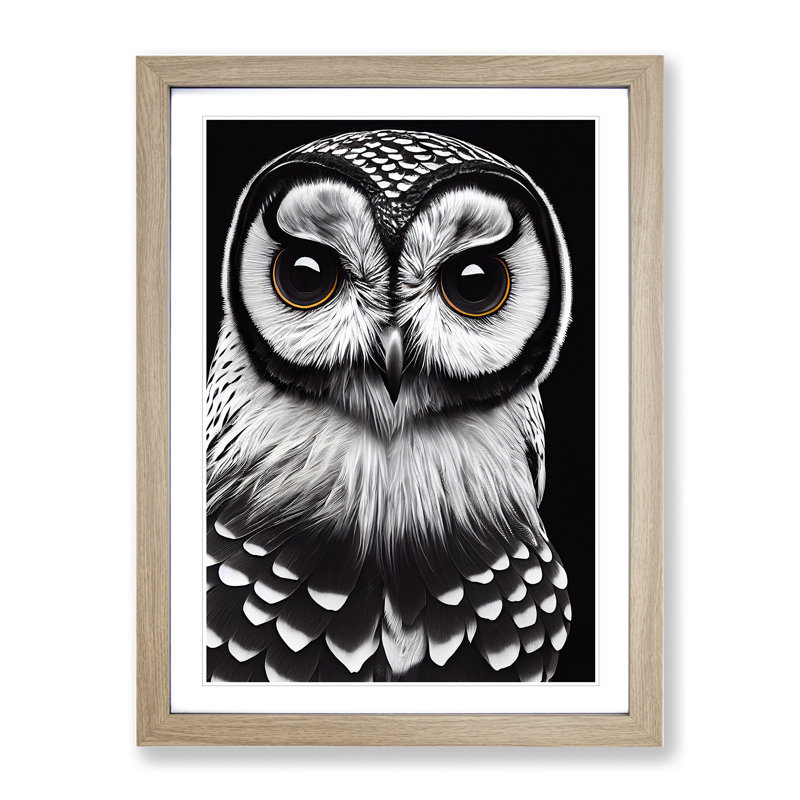 Welcoming Owl - Wrapped Canvas Print, Oak Framed, 64cm H x 46cm W