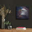 «American Bald Eagle» par Collin Bogle-1557745979