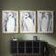 ANIMALS Series CECLxxIV - Impression encadrée sur mesure de qualité supérieure - 3 pièces-1414837586-1414837598