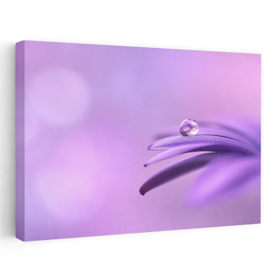 «Delicate Water Droplet Delicate Serene Tranquil Flower Nature», reproduction d'art murale