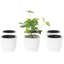 Pot à fleurs en plastique 6 pièces Ceyla