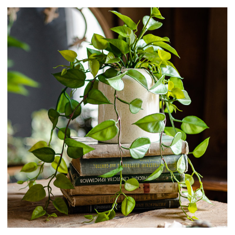 Ivy Arrangement in Pot