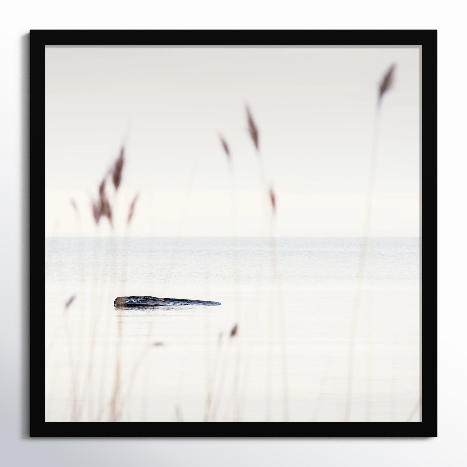 Georgian Bay Shore by Peter Dušek, Black, 36" H x 36" W x 1.25" D