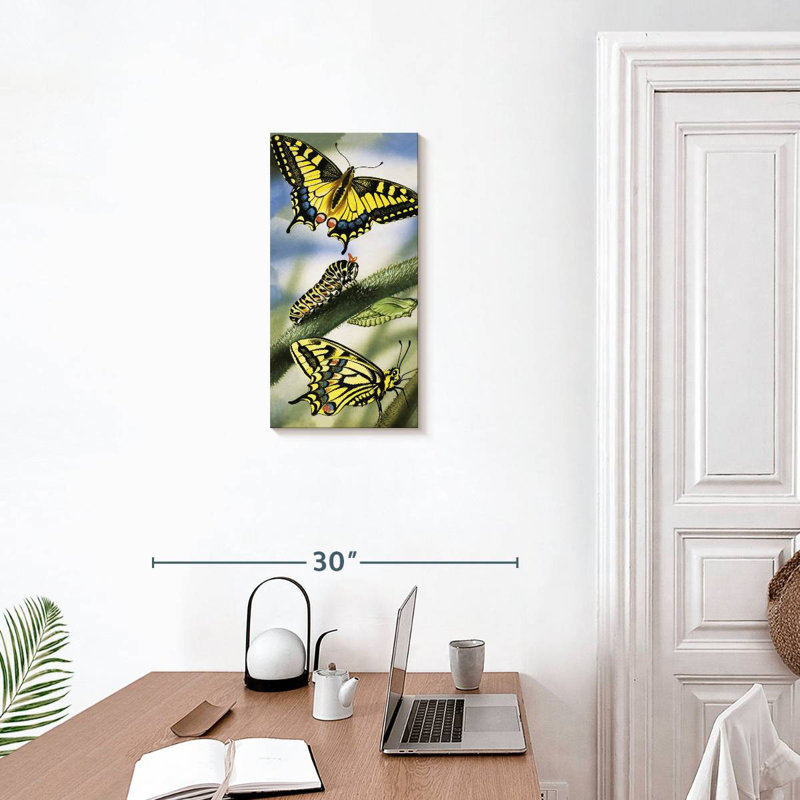 Papillons, H 24 po x l 12 po