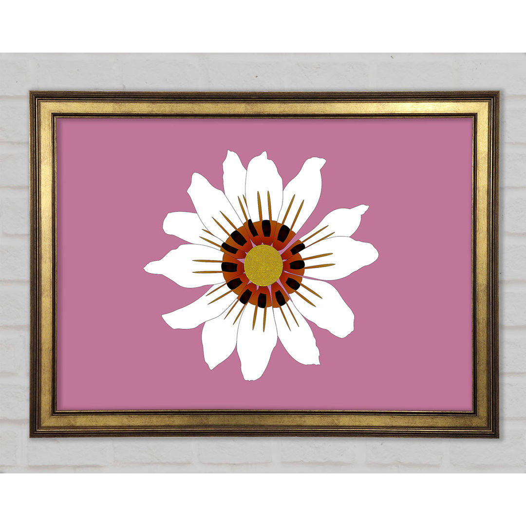 White Daisy Pinks - Druck