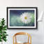 White Daisy Vol.2 Painting - Picture Frame Graphic Art-62765416-62765415