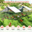 Poule Diethilde