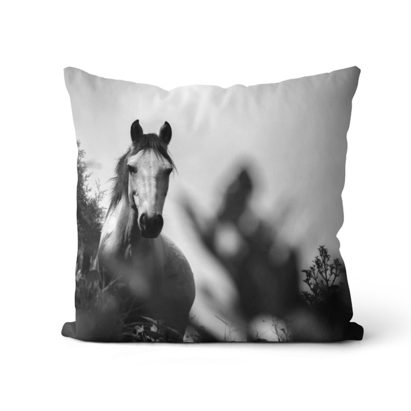 Coussin Cecile