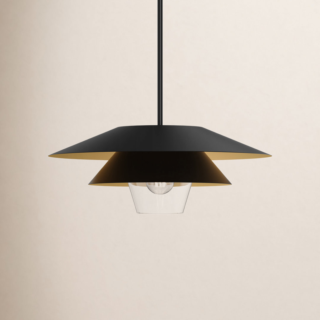 Davant 1 - Light Matte Black Cone Pendant AllModern