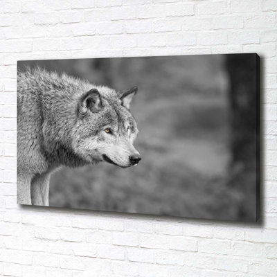 Grey Wolf - Wrapped Canvas Print