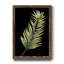Frond II - reproduction de cadre photo sur papier-727950018-727950023