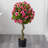 Azalea Topiary Tree