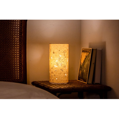 Novelty Lamp