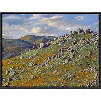 California Poppy Flowers in Rocky Grassland, Canyon Hills, Santa Ana Mountains, California by Tim Fitzharris Framed Photographic Print on Canvas -  Global Gallery, GCF-397097-1216-175