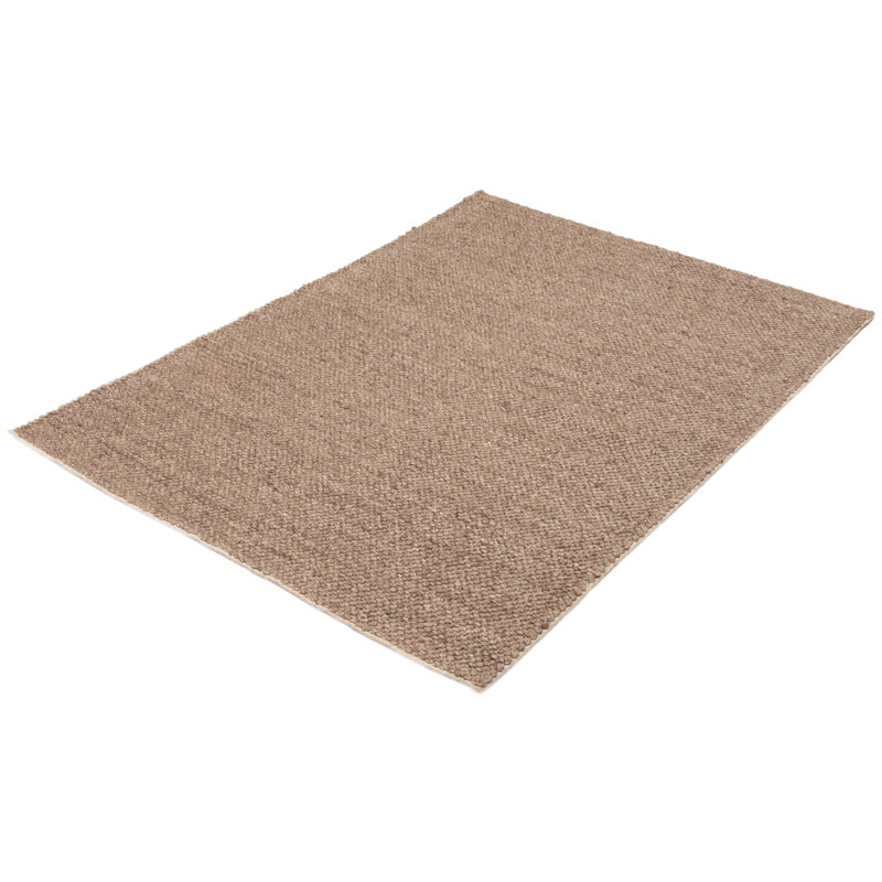 Deniss Performance Hand Braided Wool Rug