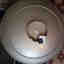 Customer photo 1 of 3