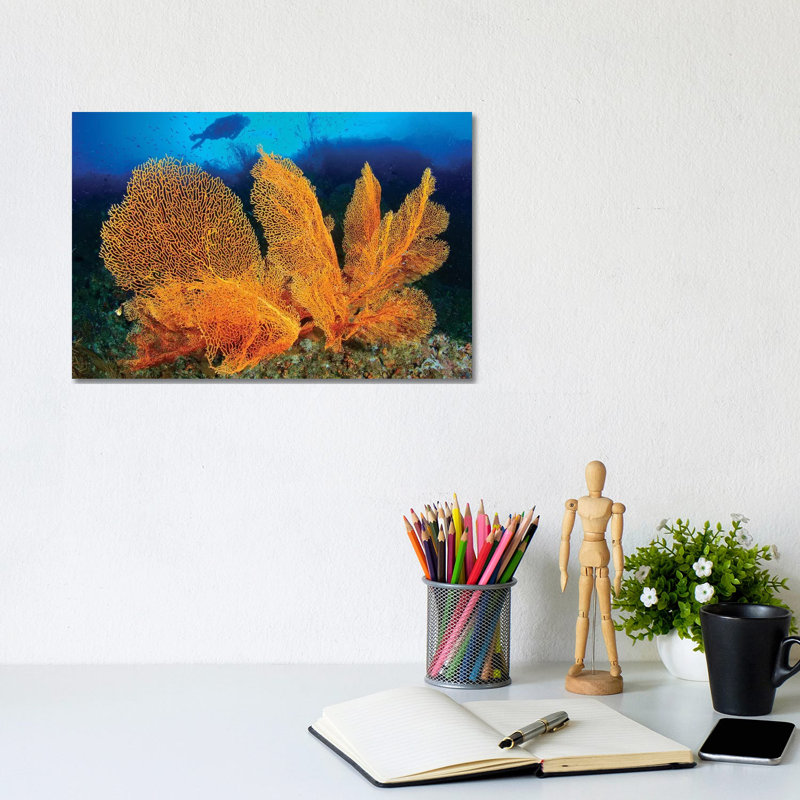 A Diver Looks At Large Gorgonian Sea Fans, Solomon Islands by Steve Jones - Wrapped Canvas Print, 20.32 cm H x 30.48 cm W