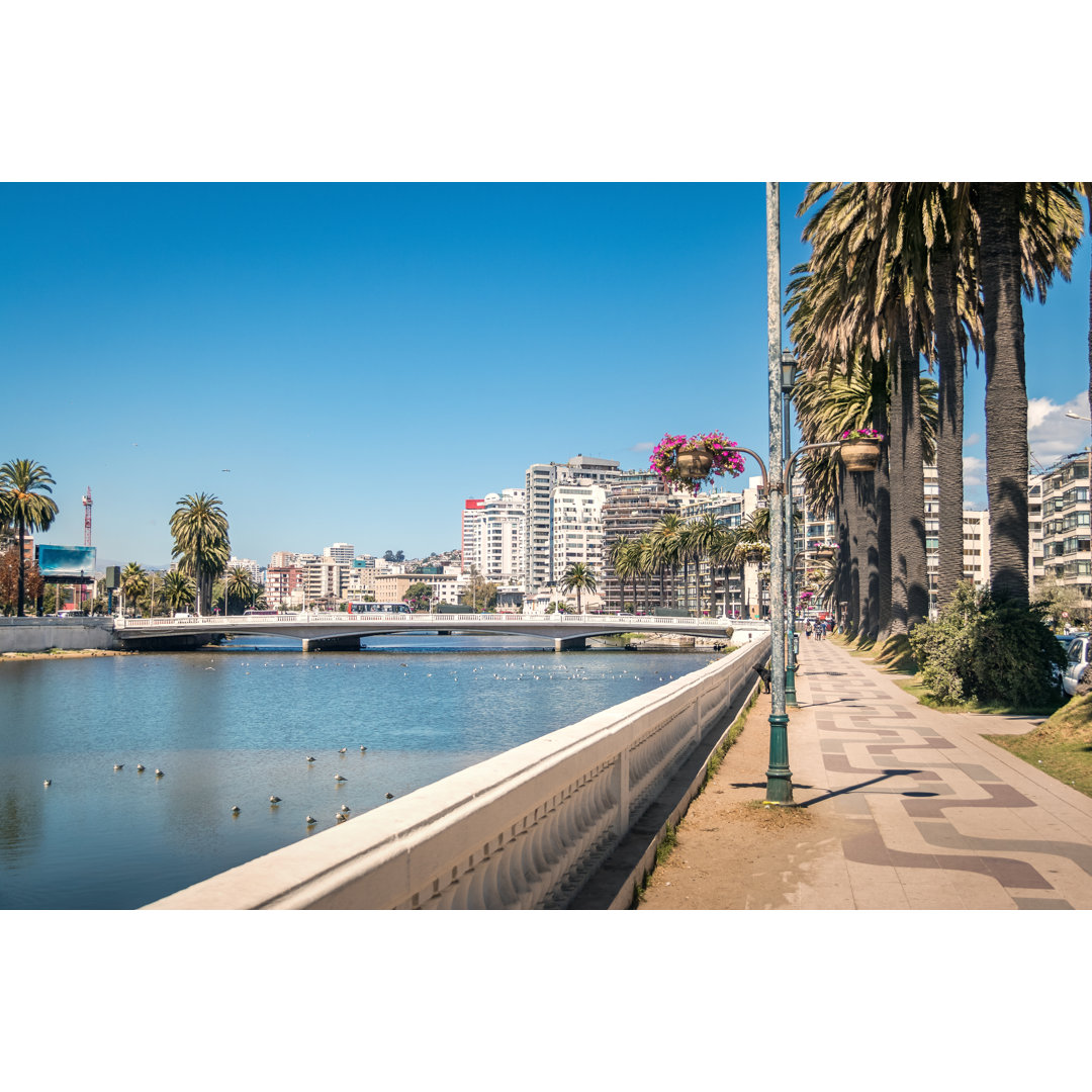 Estero River Promenade von Diegograndi - Druck