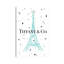 Tiffanys in Paris 1 Piece Wall Art on Canvas-13680088-13680092