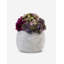 Bailey Sedum Artificial Plant