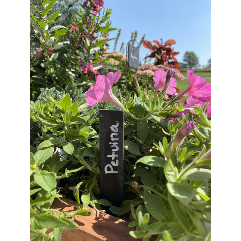 Piquets de jardin Sercay