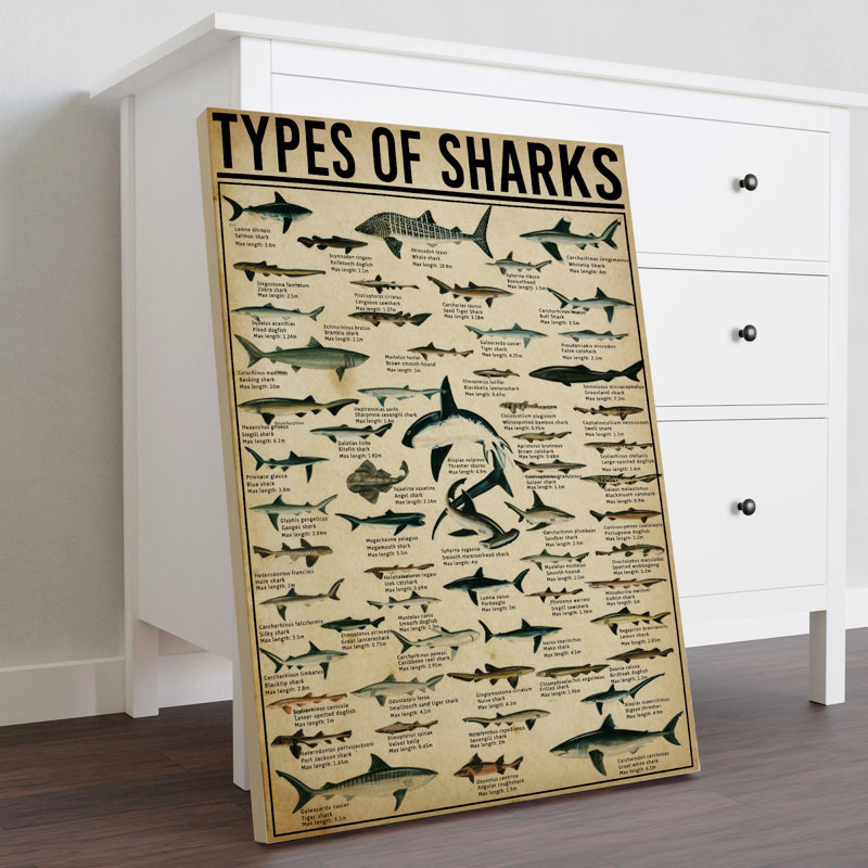 " Types Of Sharks Gallery ", 20" H x 16" W x 2" D